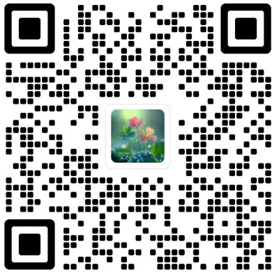 Journal of Computer Science & Technology杂志模板